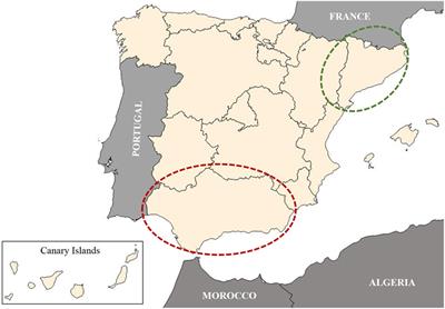 Farmer and Veterinarian Attitudes towards the Bovine Tuberculosis Eradication Programme in Spain: What Is Going on in the Field?